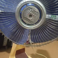 پنکه کوهساران
