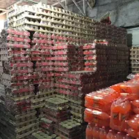 دعوت به همکاری