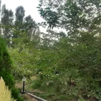 زمین-داخل-بافت-ویلایی-640متر-سند-تک-برگ