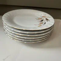 پلوخوری طرح گندم