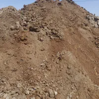 کود گاوی