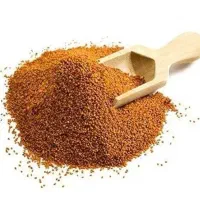 خاکشیر