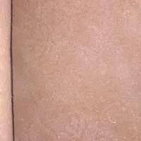 موکت