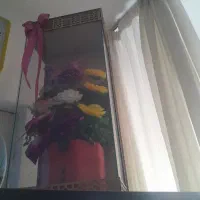 باکس گل