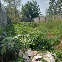 زمین-مسکونی-باپروانه