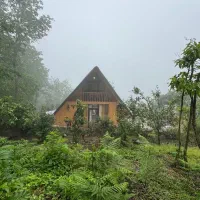 کلبه-سویسی-استخر-جنگلی-وسط-جنگل-یالبندان