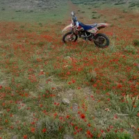 موتور یاماها wr200