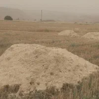 فروش کاه