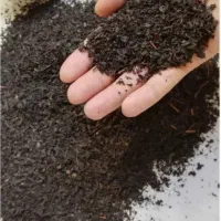 چای ایرانی گیلان  ممتاز درجه یک