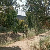 باغ-ویلا