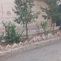 پرستار جهت خانواده و امور منزل