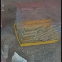 قفس پرنده با لوازمش