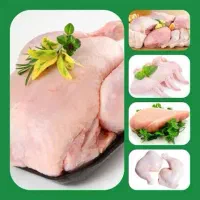 پخش مرغ و قطعه کاری مرغ روز