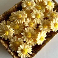 شمع های مختلف