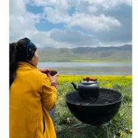 فایرپیت ذغالی کنده چوب