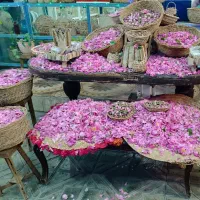 گلاب و عرقیات د 1/سنتی میمند،عمده ارسال به کل کشور