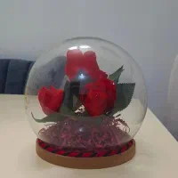 گل باکس شیشه ای