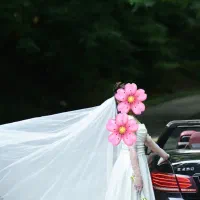 لباس عروس ساتن اروپایی