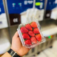 نیرو ابمیوه بستنی