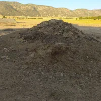 کودحیوانی