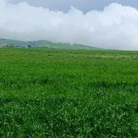 زمین کشاورزی روستایی دگرماندرق توابع نمین فندقلو