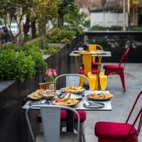 ساندار در محیط حرفه ای و مجموعه‌ ای برند