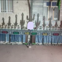 علامت قدیمی برنج تو پر ۱۳پر