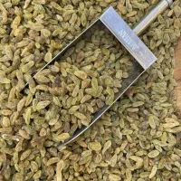 کشمش سبز درجه یک خشکباربرنده