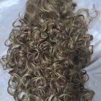 کلاه گیس