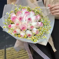تنوع بالا گل شاخه