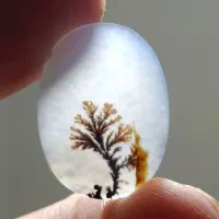 شجر قائن
