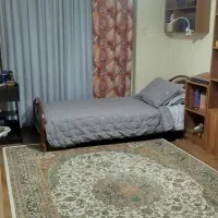 یک جفت فرش ۶ متری