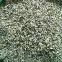 آویشن درجه یک