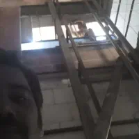 نصب اسانسور سرویس نگهداری فروش