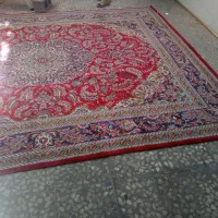 فرش|فرش|برازجان, |دیوار
