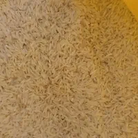 فروش برنج تازه چین اعلا فریدون کنار
