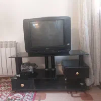 تلوزیون