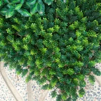 ترمو وال  گرین وال چمن مصنوعی