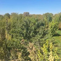 باغ-1400-متری-ملایر