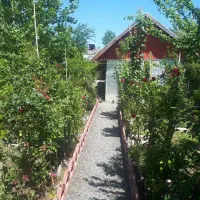 مشاوره خرید زمین در طرح