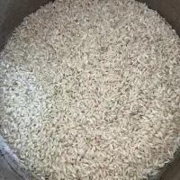 برنج عنبربوسیروان