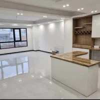 واحد لوکس ۶۹ متری در شمال شادمان