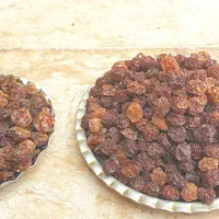 فروش آلوچه خشک بومی