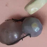 جفت مهره کهنه سلیمانی،جفت عقیق،یک فیروزه