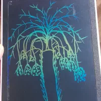 نقاش حرفه ای