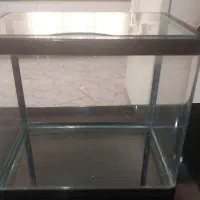 آکواریوم