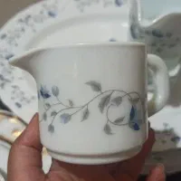 ۶ عدد سس خوری ایروپال گل آبی ۱۰۰۰۰۰۰