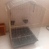 قفس کاسکو