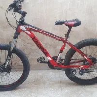 دوچرخه حرفه ای