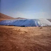 کاه گندم دیم کمباین